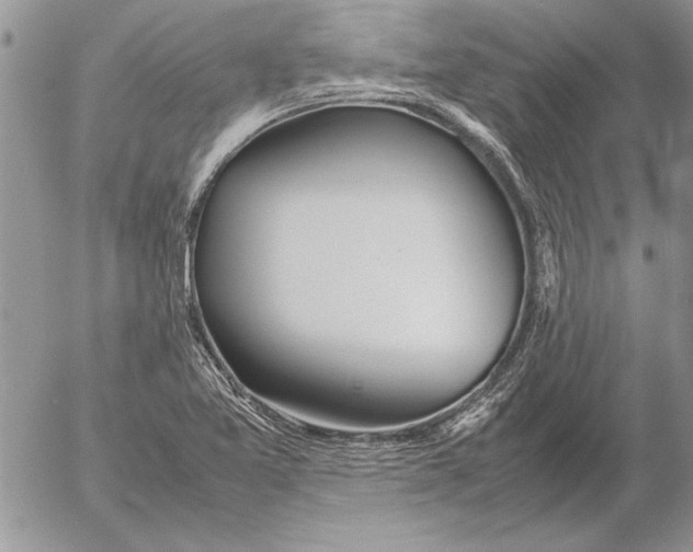 X0000053011365200507291657