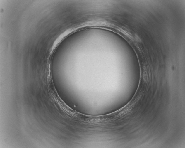 X0000053011366200507291657