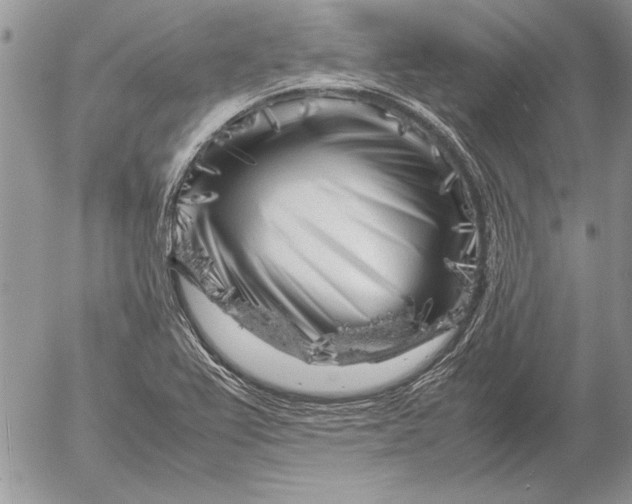 X0000053011367200507291657