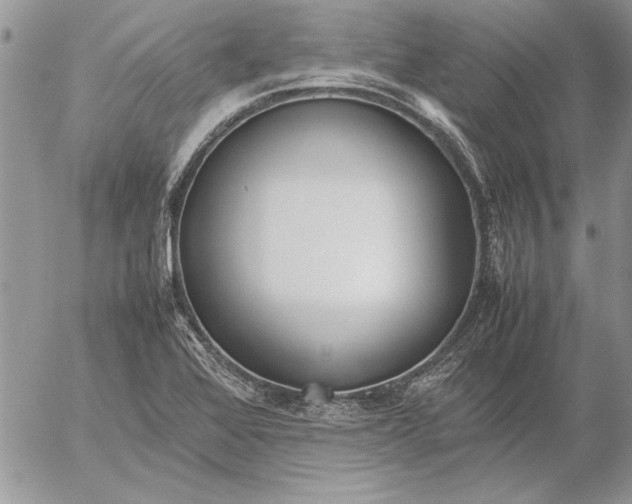 X0000053011368200507291657