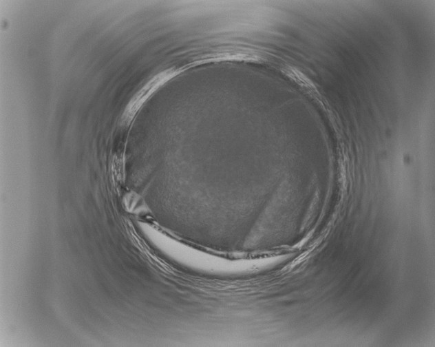 X0000053011369200507291657