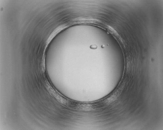 X0000053011370200507291657