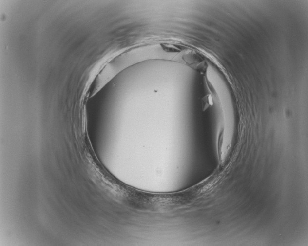 X0000053011371200507291657