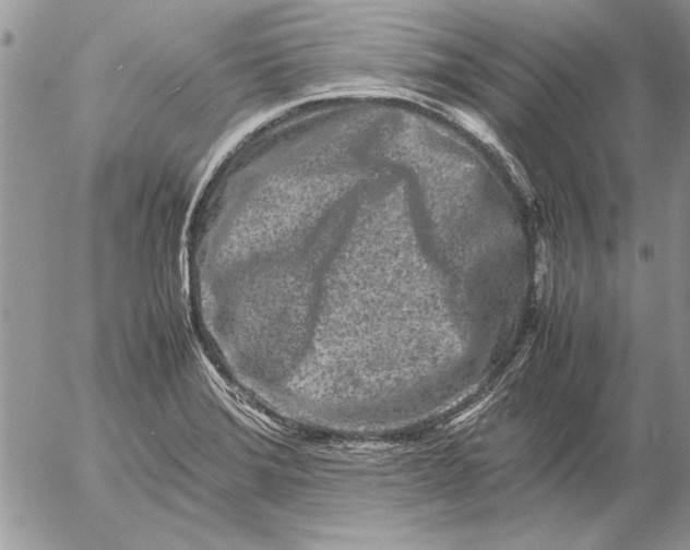 X0000053011372200507291657