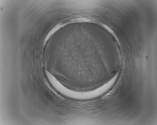 X0000053011373200507291657