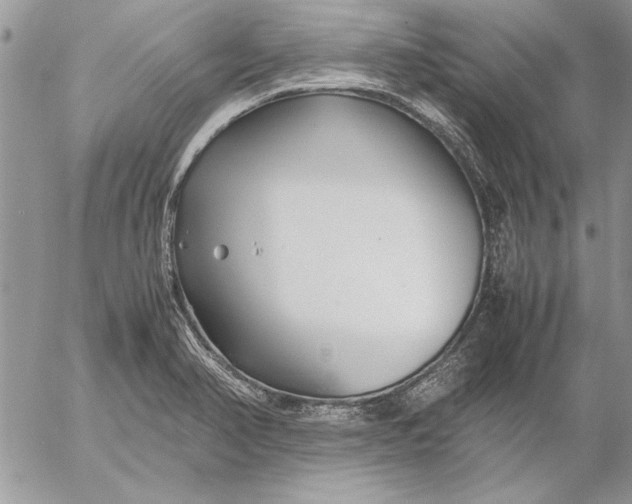 X0000053011374200507291657