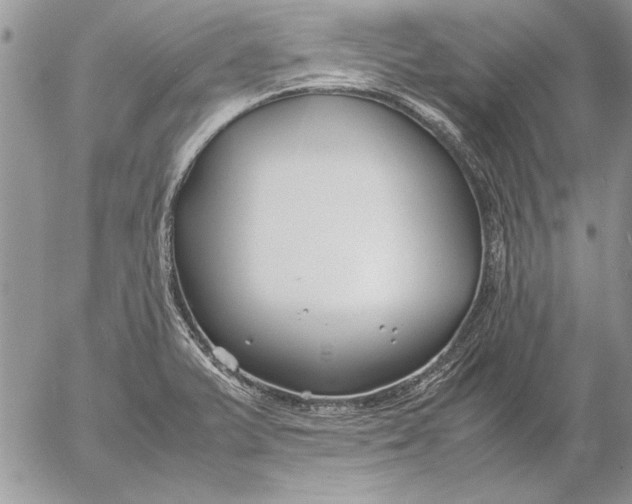 X0000053011375200507291657