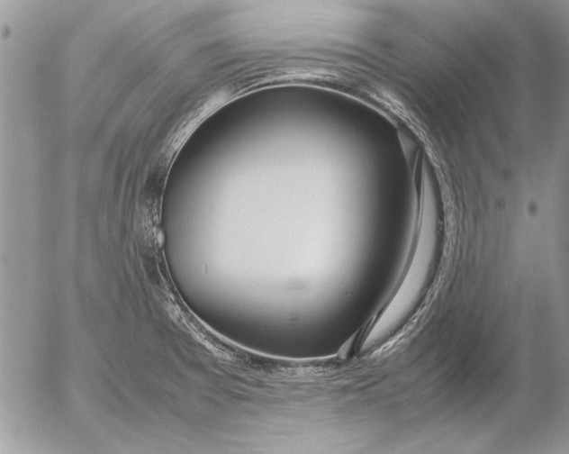 X0000053011377200507291657