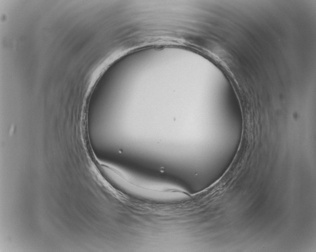 X0000053011379200507291657