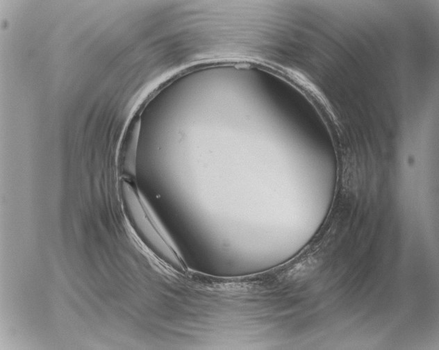 X0000053011380200507291657