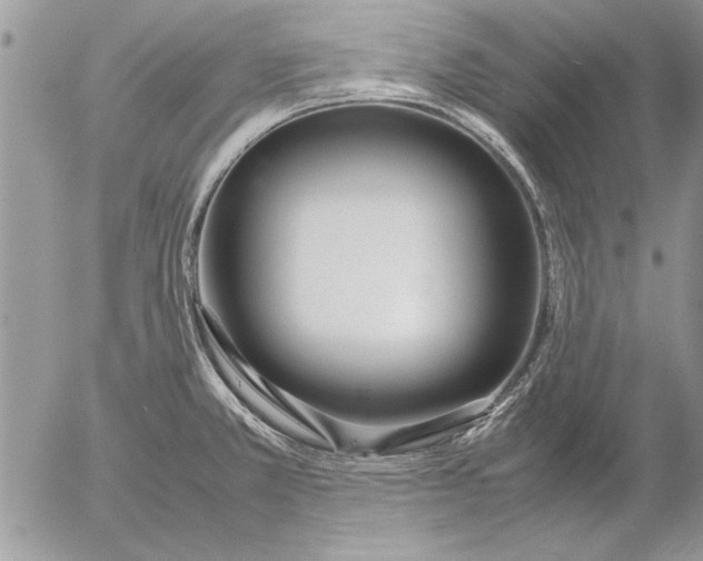 X0000053011381200507291657