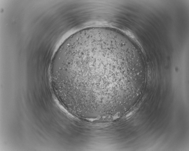 X0000053011382200507291657