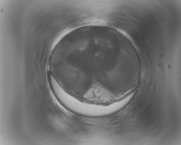 X0000053011383200507291657