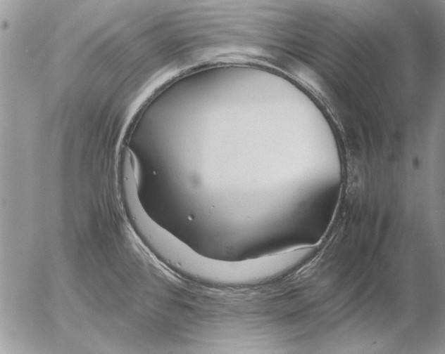 X0000053011384200507291657