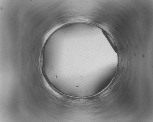 X0000053011387200507291657