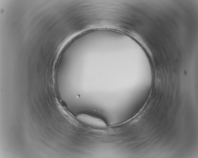 X0000053011388200507291657