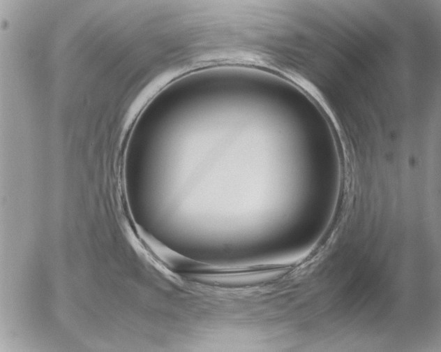 X0000053011389200507291657