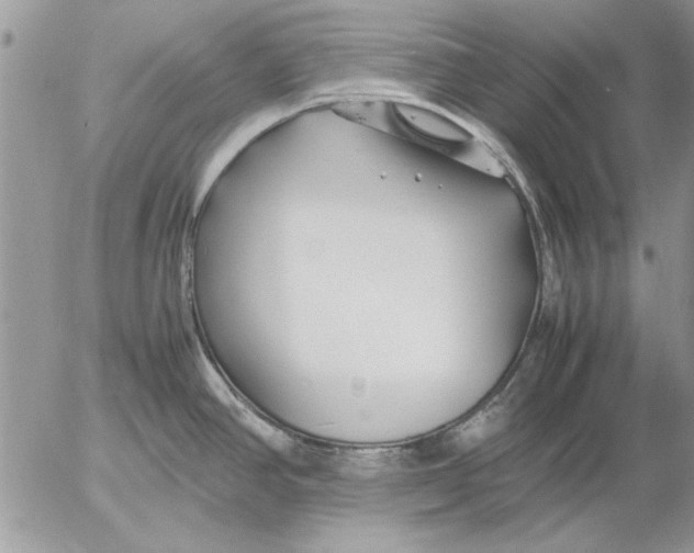 X0000053011390200507291657