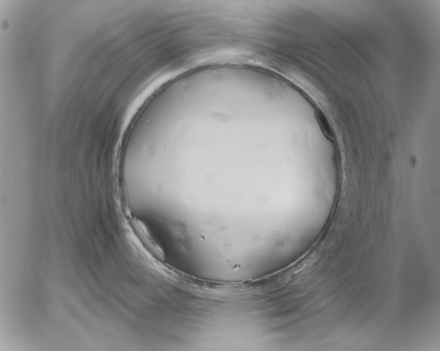 X0000053011392200507291656