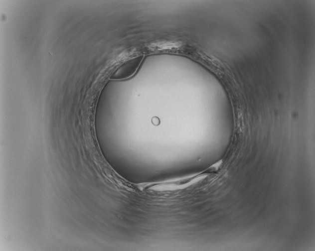 X0000053011393200507291656