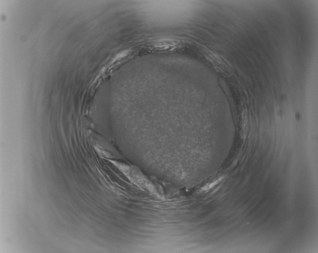 X0000053011394200507291656