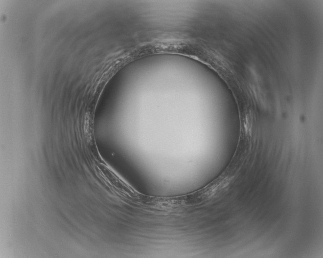 X0000053011396200507291656