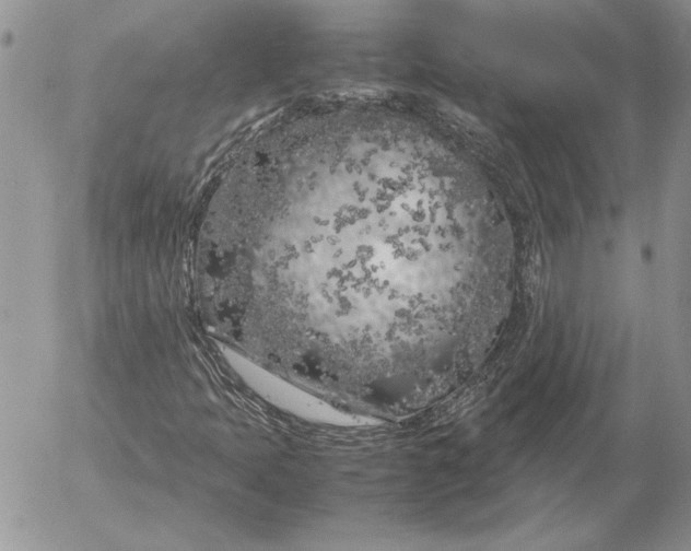 X0000053011397200507291656