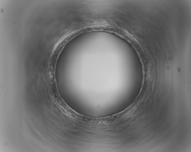 X0000053011400200507291656