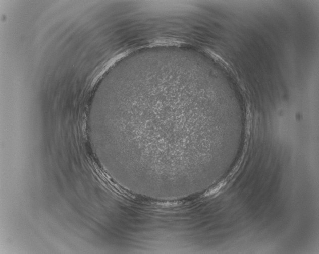 X0000053011401200507291656