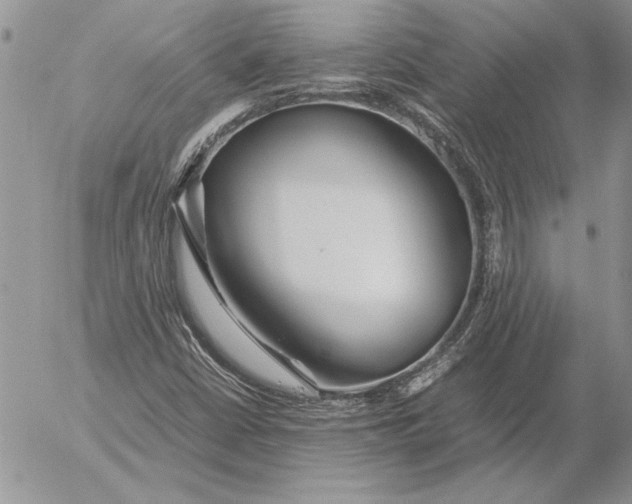 X0000053011402200507291656