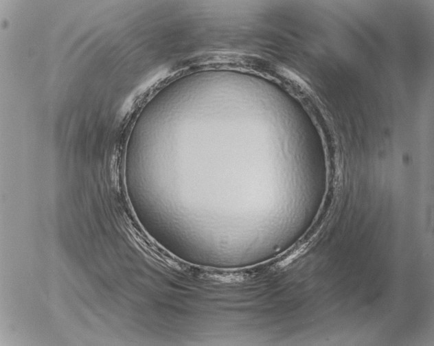 X0000053011403200507291656