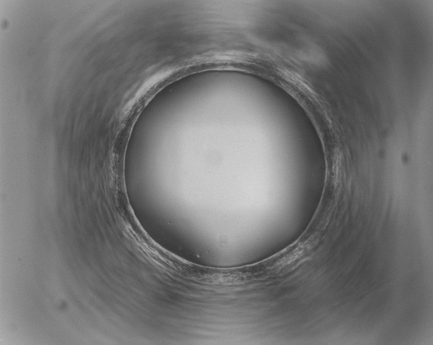 X0000053011404200507291656