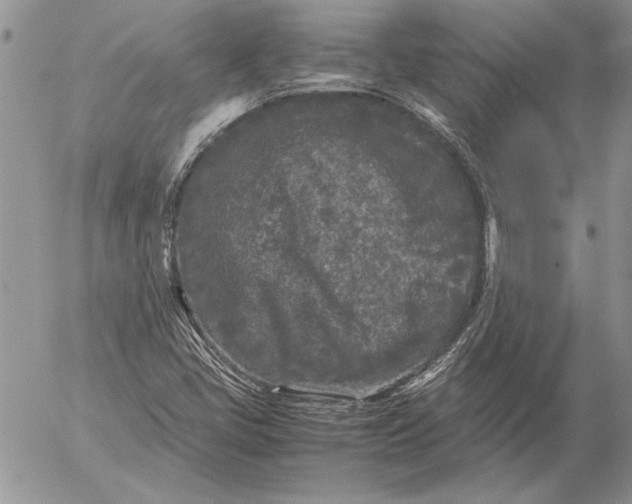 X0000053011405200507291656