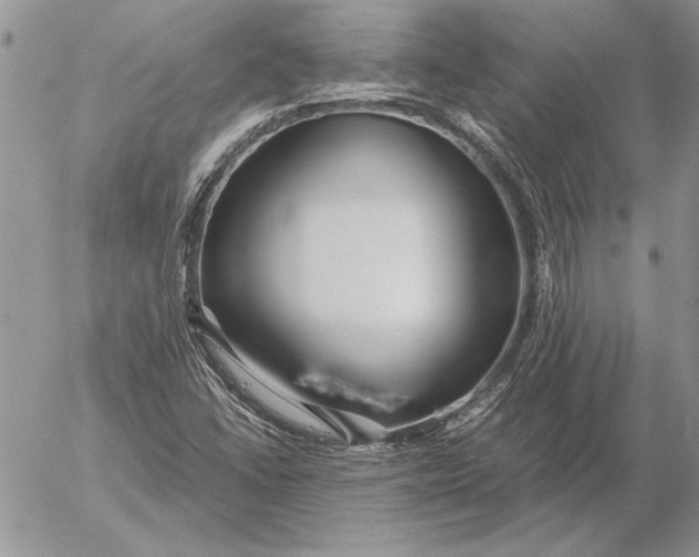 X0000053011406200507291656