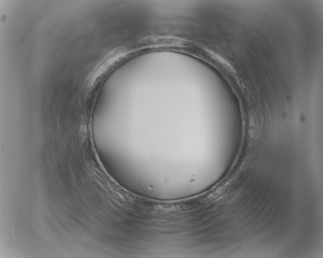 X0000053011407200507291656