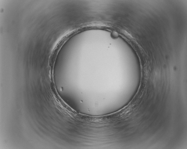 X0000053011408200507291656