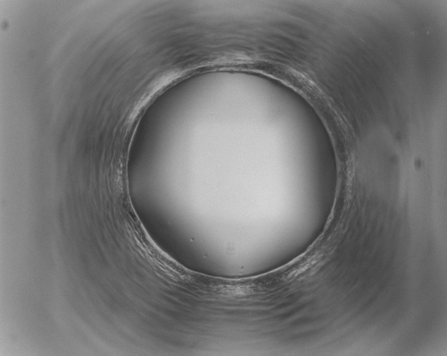 X0000053011409200507291656