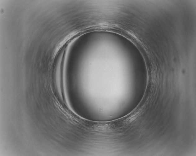 X0000053011410200507291656