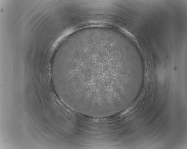 X0000053011411200507291656