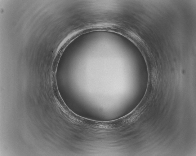 X0000053011412200507291656