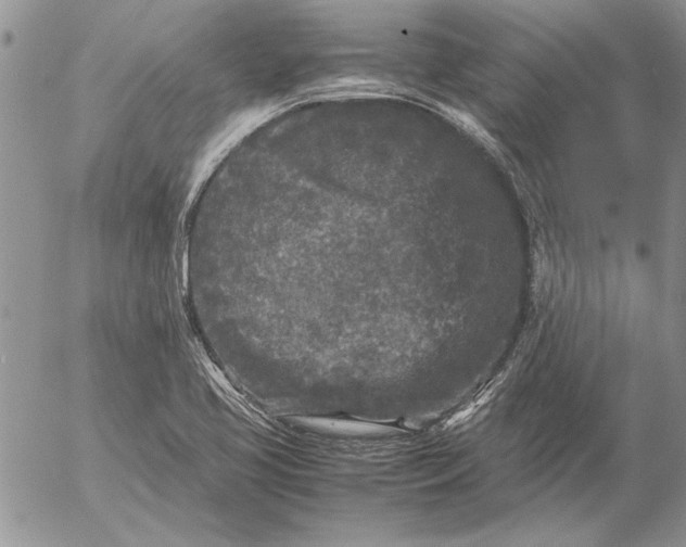 X0000053011413200507291656