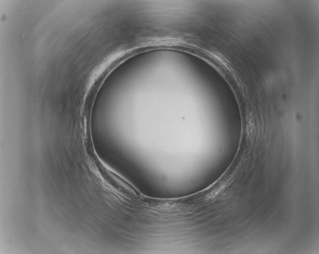 X0000053011414200507291656