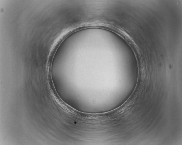 X0000053011416200507291656