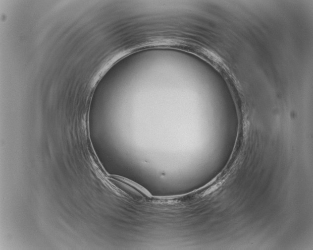 X0000053011417200507291656