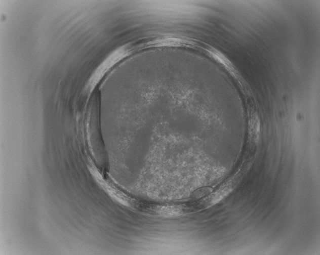 X0000053011418200507291656