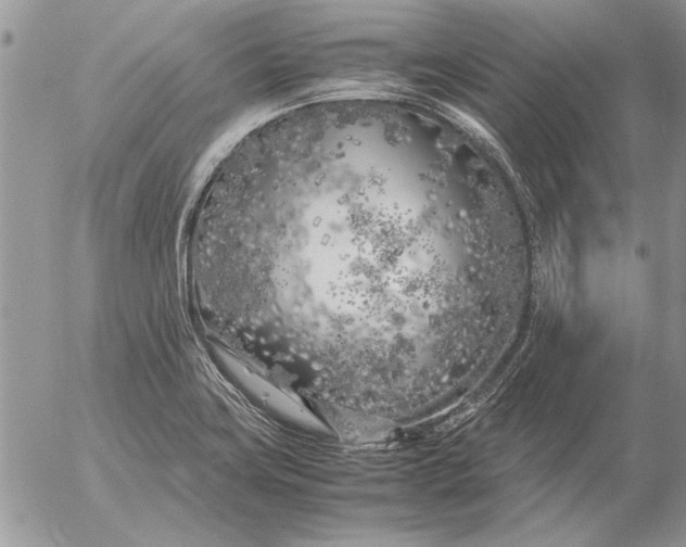 X0000053011419200507291656