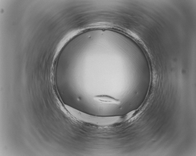 X0000053011421200507291656