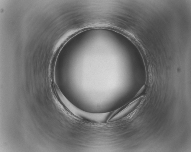 X0000053011422200507291656