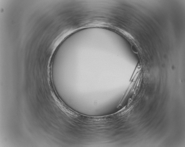 X0000053011423200507291656