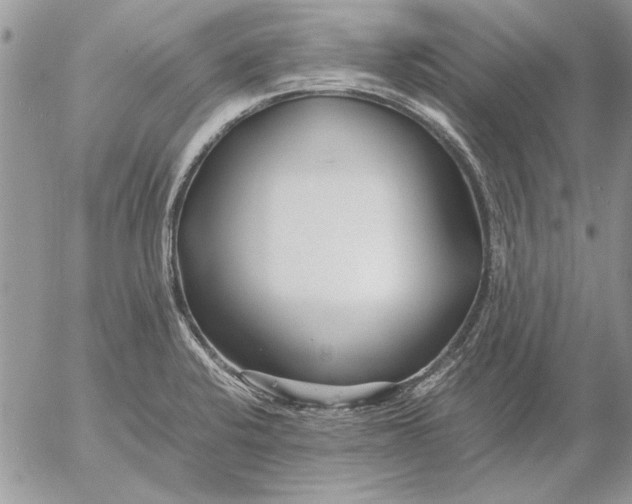 X0000053011424200507291656